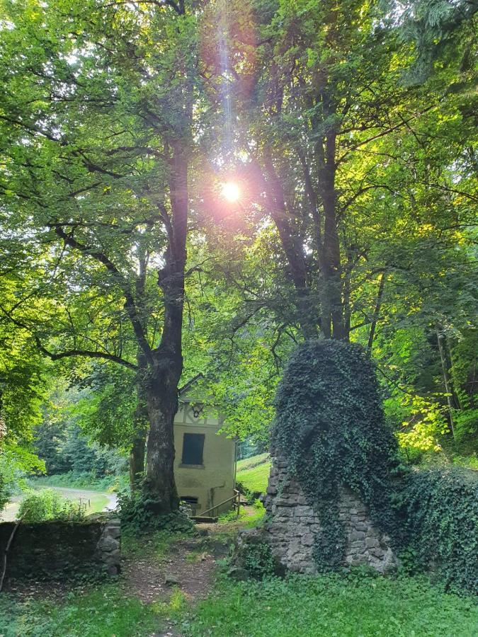 Odenwald-Lodge Mit Infrarotsauna Und E-Ladestation Im Naturpark Odenwald "Haus Himmelblau" Reichelsheim Экстерьер фото
