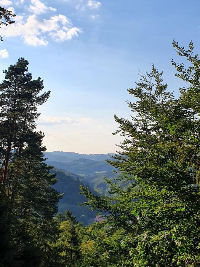 Odenwald-Lodge Mit Infrarotsauna Und E-Ladestation Im Naturpark Odenwald "Haus Himmelblau" Reichelsheim Экстерьер фото